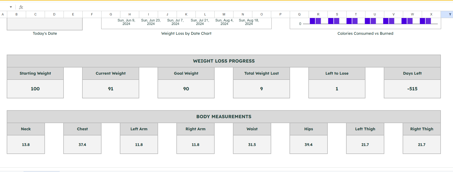 Weight Loss Planner Spreadsheet - Image 5